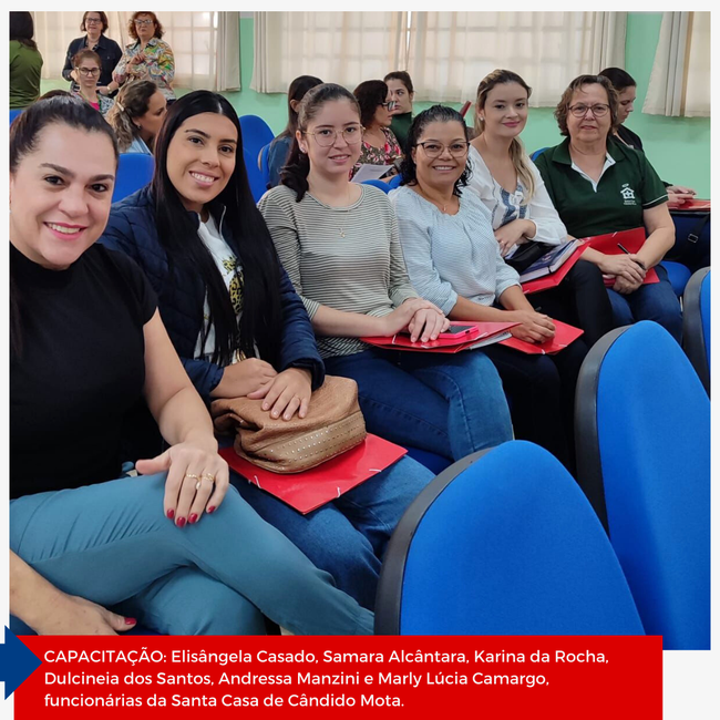 Capacitação CMDCA 1